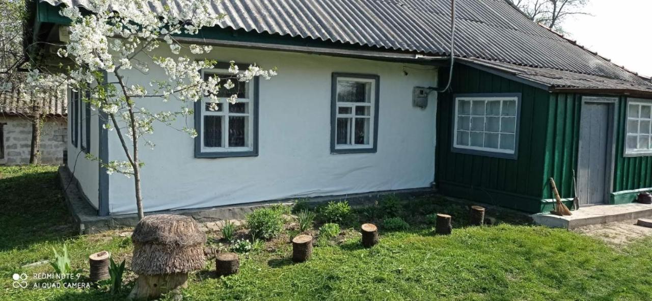 Медова Садиба Subbotiv Ngoại thất bức ảnh